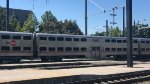 Caltrain 3819